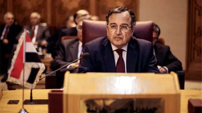 السفير نبيل فهمي