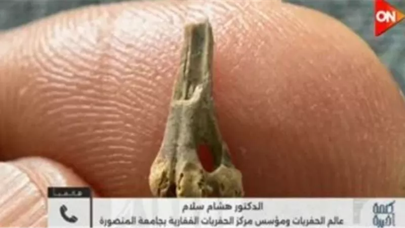 طائر قديم