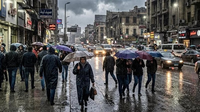  الدكتور محمود القياتي