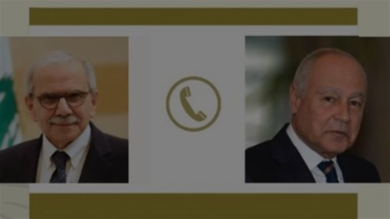 أبو الغيط ورئيس الحكومة