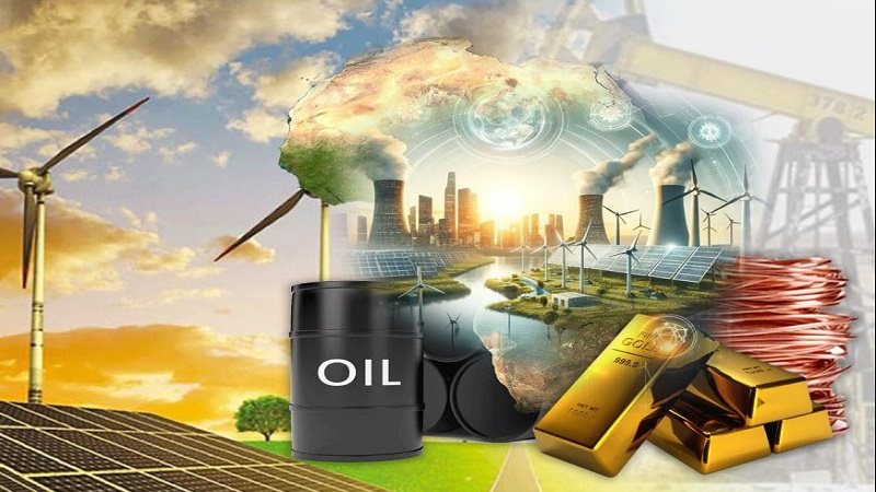  الدكتور جمال القليوبي