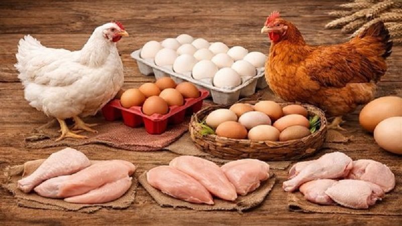 أسعار الدواجن في