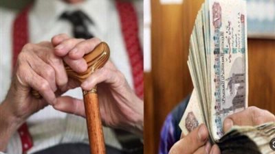 فلوس المعاشات أموال حكومية أم ملك خاص للمواطنين؟.. ميرفت التلاوي تعلق| فيديو