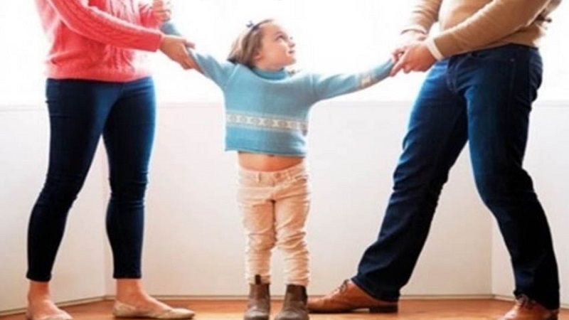 الحضانة والاستضافة