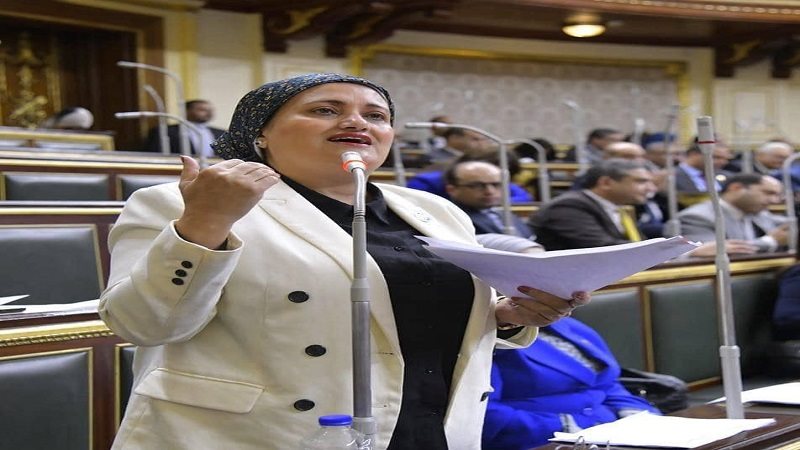 النائبة سناء السعيد