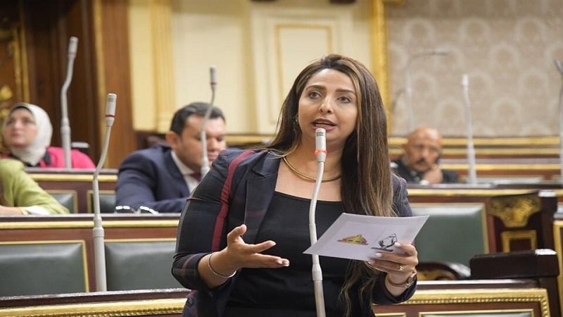 النائبة نشوى الشريف