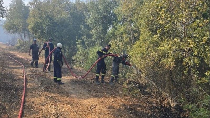 إبادة بيئية بلبنان