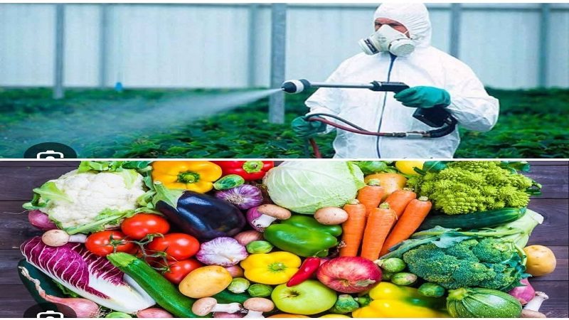 حماية الخضروات من