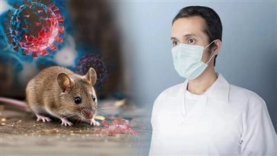 «فيروس بلا علاج».. إزاي تحمي نفسك من 