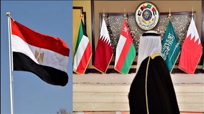إيهاب عمر: حملات ممنهجة لإثارة الفتنة بين مصر والدول العربية|فيديو