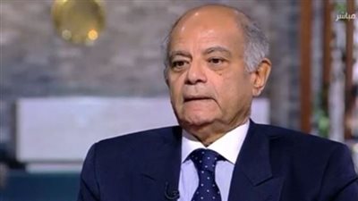 حسين هريدي: مصر قوة مؤثرة ودبلوماسية متوازنة تعزز الاستقرار الإقليمي