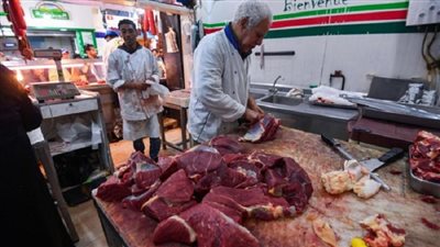 قبل العيد.. طرح اللحوم السودانية والجيبوتية بأسعار تبدأ من 350 جنيه| فيديو