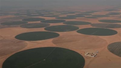 الدلتا الجديدة.. مدينة أحلام جديدة وسط الصحراء هتحل أزمة الزحمة|فيديو