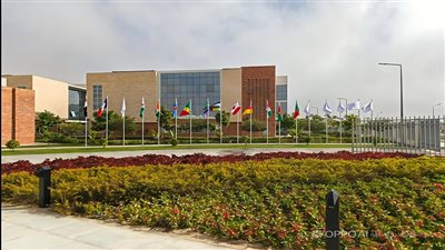 متحدث التعليم العالي: 100 منحة لجامعة سنجور تدعم شباب أفريقيا المتفوق|فيديو