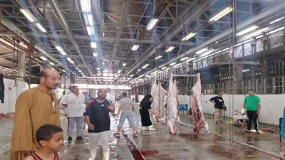متحدث الزراعة: 466 مجزر مجاني لخدمة المواطنين في عيد الأضحى|فيديو