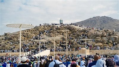 الإفتاء: يوم عرفة أفضل أيام الدنيا وأبواب الرحمة فيه مفتوحة|فيديو