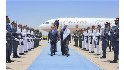 خبير استراتيجي: تطابق مصري إماراتي في ملفات الأمن والقضايا الإقليمية
