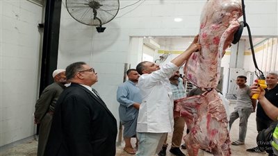 من الفحص لـ الإعدام بالحرق.. إجراءات حاسمة داخل المجازر| فيديو