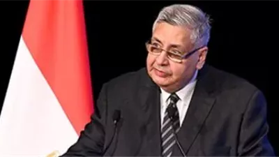 عوض تاج الدين يطمئن: لا إصابات بفيروس هانتا في مصر ونظام الرصد يقظ