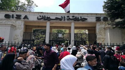 66 ألف زائر في 3 أيام.. حدائق الحيوان تكسر الأرقام القياسية|فيديو