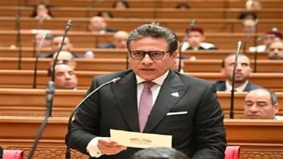 بعد الشائعات.. الخولي: قانون الأحوال الشخصية بيصلح ثغرات عمرها 100 سنة|فيديو