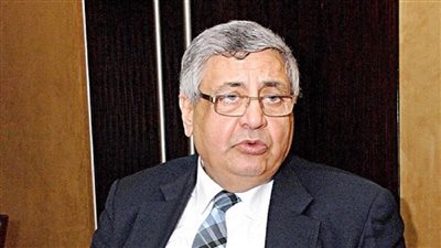 تاج الدين: مصر خالية من فيروس هانتا والإجراءات مشددة بالمنافذ| فيديو