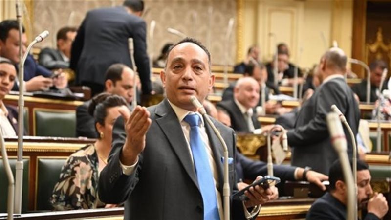 النائب فريدي البياضي