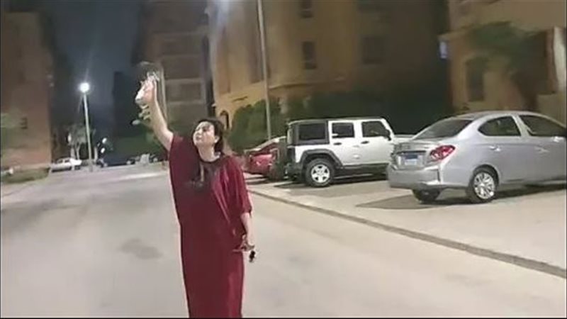 مشاجرة الكلاب في