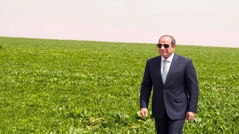 الرئيس عبد الفتاح