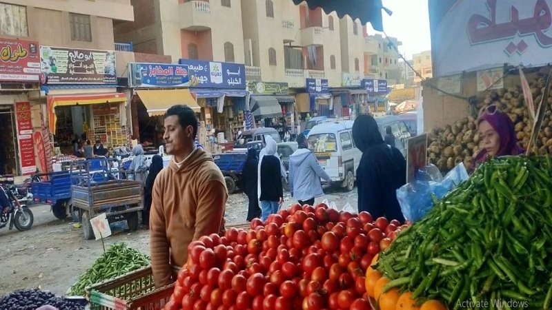 أزمة أسعار الطماطم