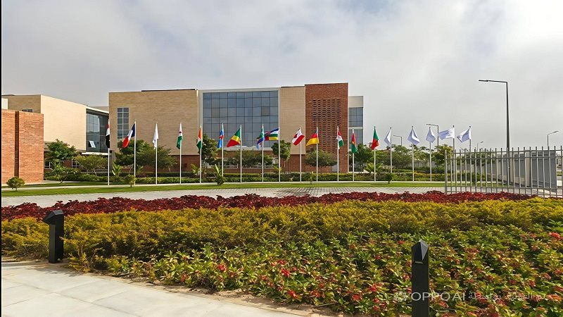 جامعة سنجور برج العرب