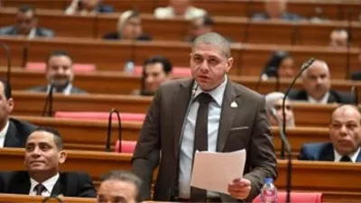 نائب: الدعم النقدي عبر محفظة سلعية يحقق حرية الاختيار للمواطن