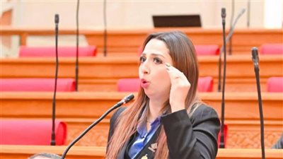 لجنة الاقتراحات بالنواب تناقش إدراج 