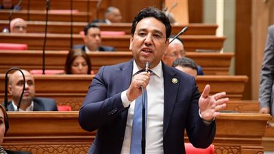 الخبز خارج المنظومة.. برلماني: فلوس الدعم في إيد المواطن بدل جيوب السماسرة