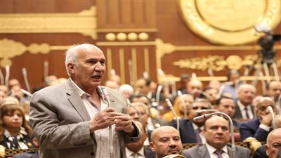 رسالة نارية من عضو الشيوخ لـ الحكومة: «ظبطوا السوق الأول وبعدها غيروا الدعم»