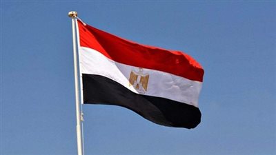 أستاذ علوم سياسية: مصر شريك موثوق لإفريقيا وترفض عسكرة البحر الأحمر