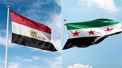 مصر تدين الاعتداءات الإسرائيلية على سوريا وتؤكد دعمها الكامل لسيادتها