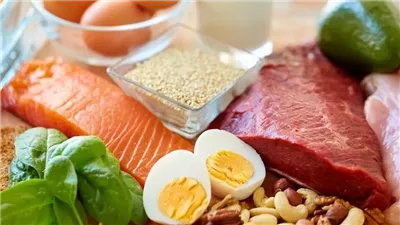 احذر الإفراط في البروتين.. استشاري: الإفراط فيه قد يؤدي إلى أضرار خطيرة