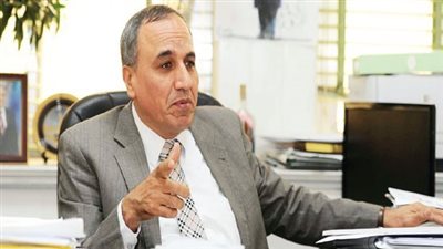 بعد دعوة الرئيس.. سلامة: المعلومات الرسمية تحمي الصحفي وتكشف غير المهني