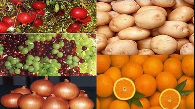 صادرات مصر الزراعية
