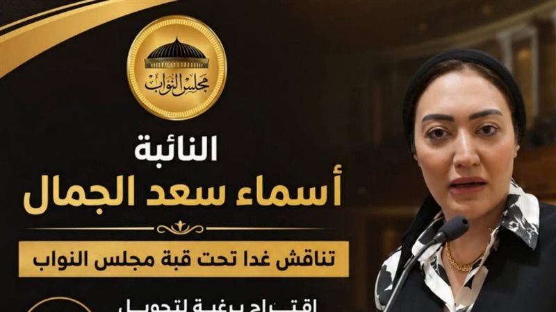 النائبة أسماء سعد