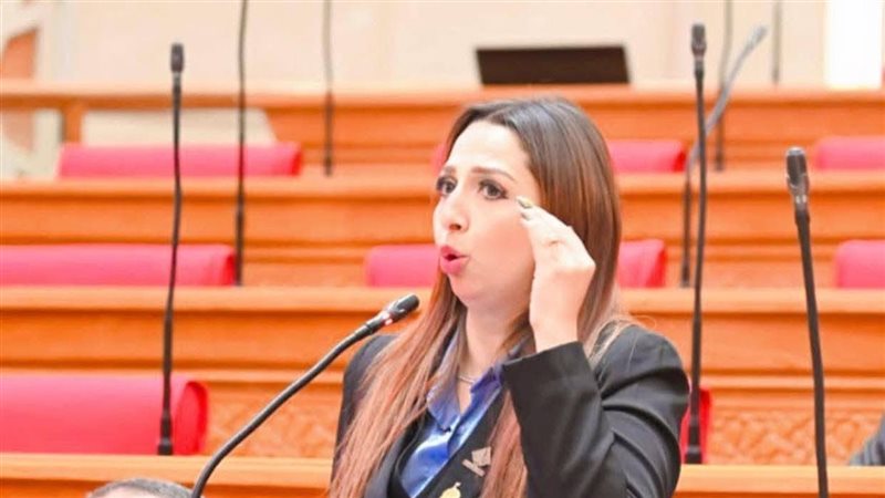 النائبة نشوى الشريف