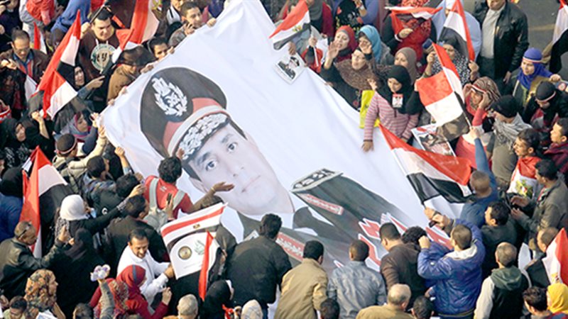 ثورة 30 يونيو 