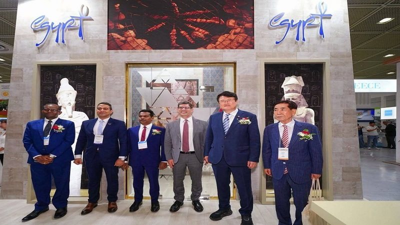 الجناح المصري  في