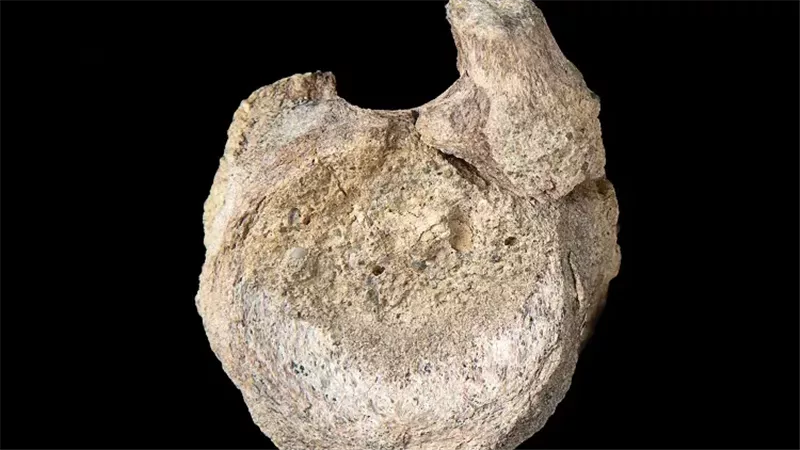 صورة موضوعية