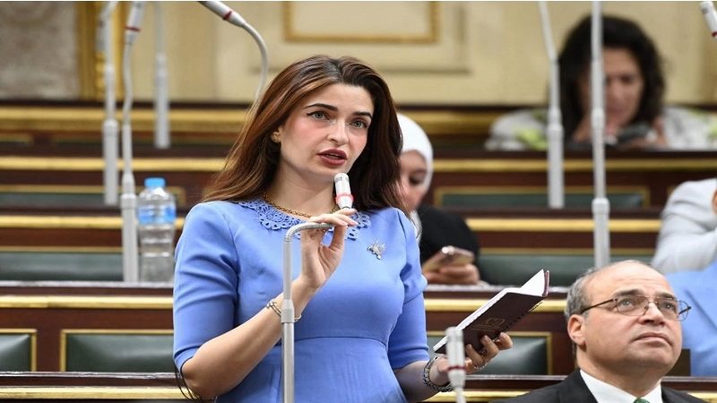 النائبة إيرين سعيد