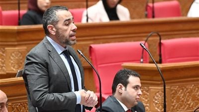 مشروع مستقبل مصر.. عضو النواب: لم نتخيل كمعارضة أن يتم الاستجابة لملاحظاتنا