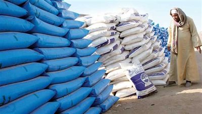 المحمدى: مطالب برلمانية لتخفيف أعباء الأسمدة والغرامات عن صغار المزارعين