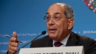 بطرس غالي: المشكلات الاقتصادية استُغلت لكنها لم تكن سبب ثورة يناير