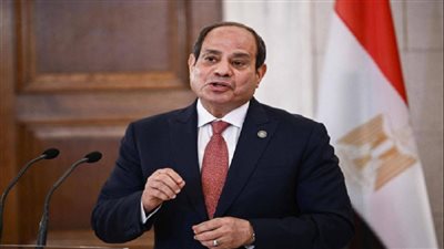 الرئيس السيسي: مصر وتنزانيا يفتحان صفحة جديدة من التعاون والشراكة| فيديو